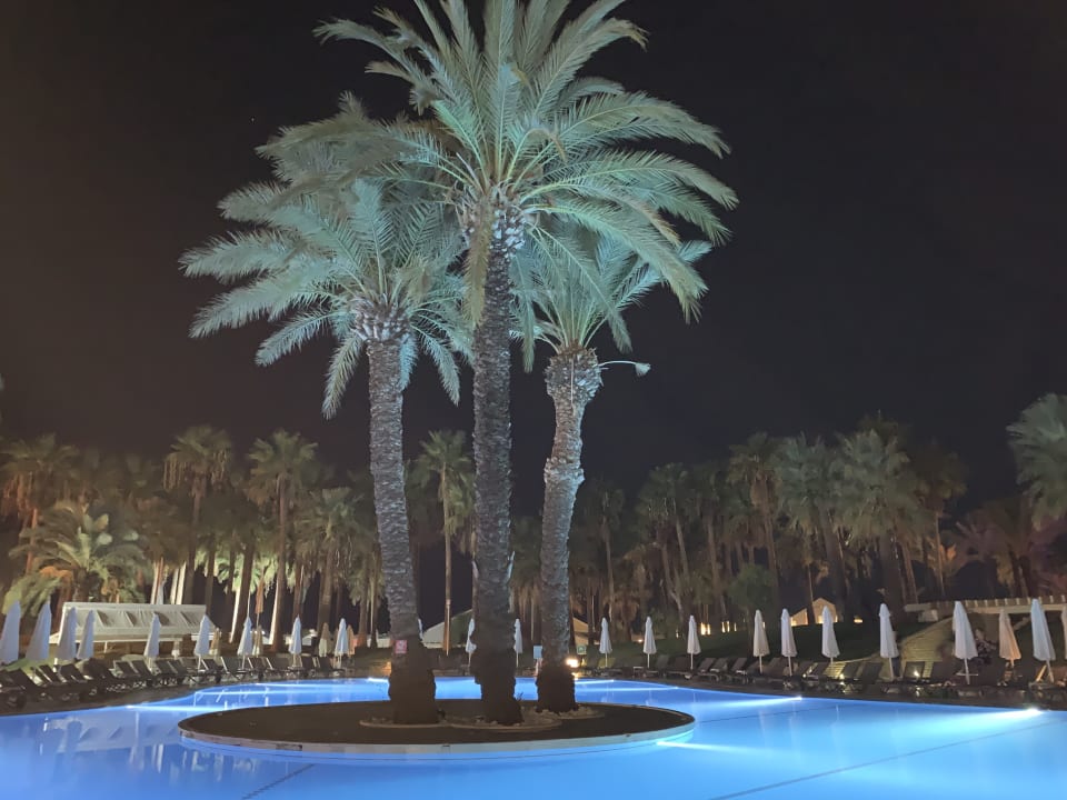 Pool Monachus Family Resort Sorgun