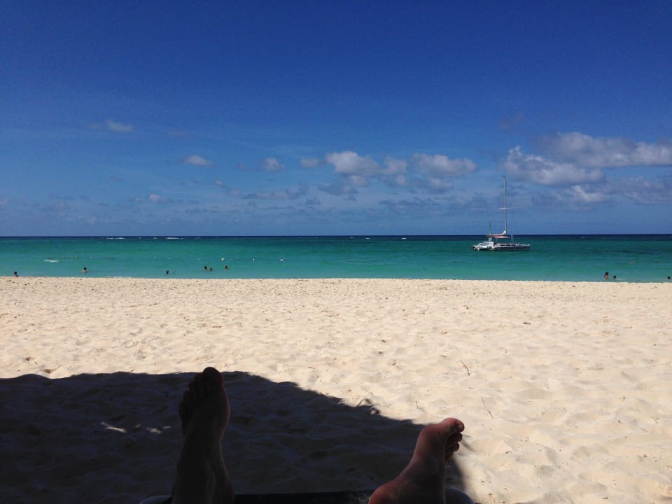 Perfekte Aussicht Grand Palladium Punta Cana Resort & Spa