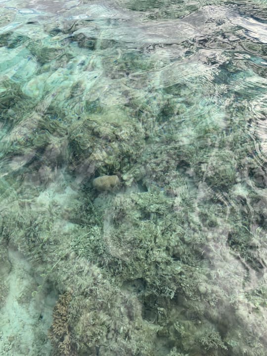 Strand Steigenberger Aqua Magic