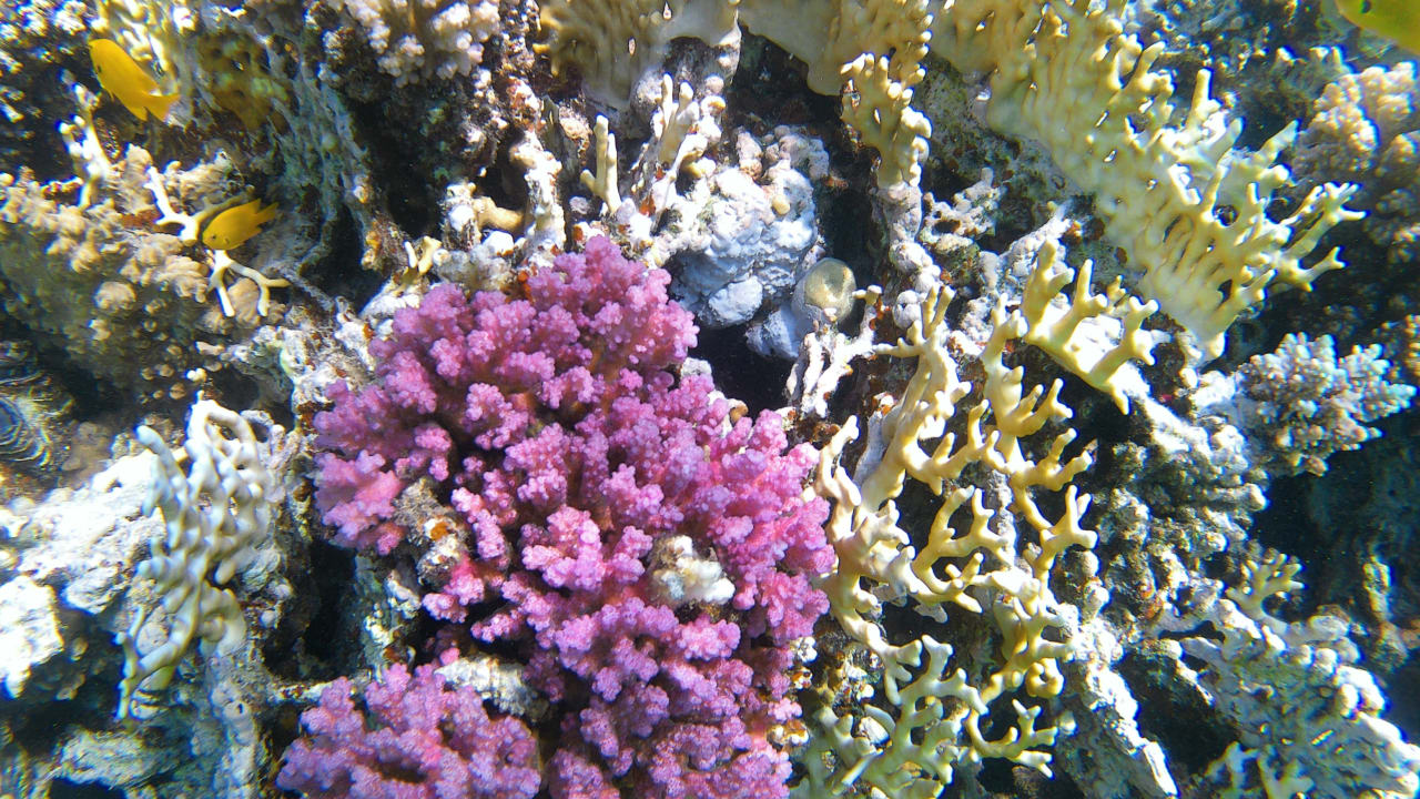 Sport & Freizeit Makadi Spa - Adults only