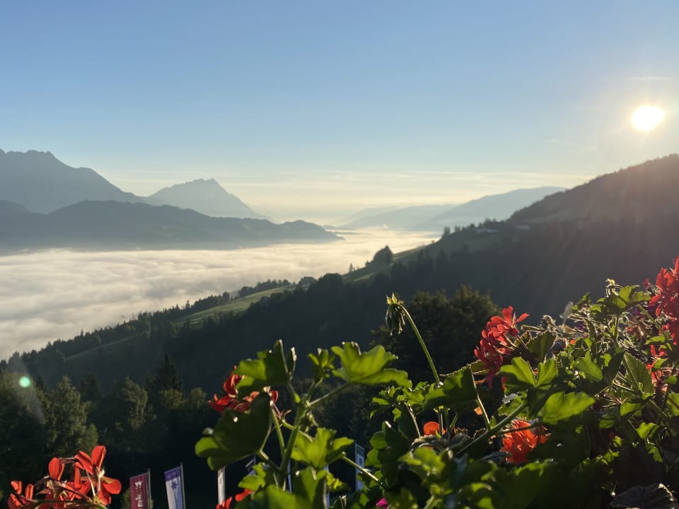 Ausblick Natur & Wellnesshotel Höflehner