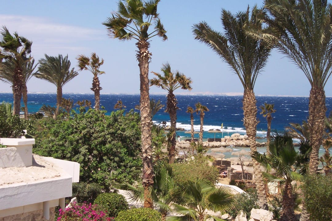 Citadel Azur Resort Pickalbatros Citadel Resort