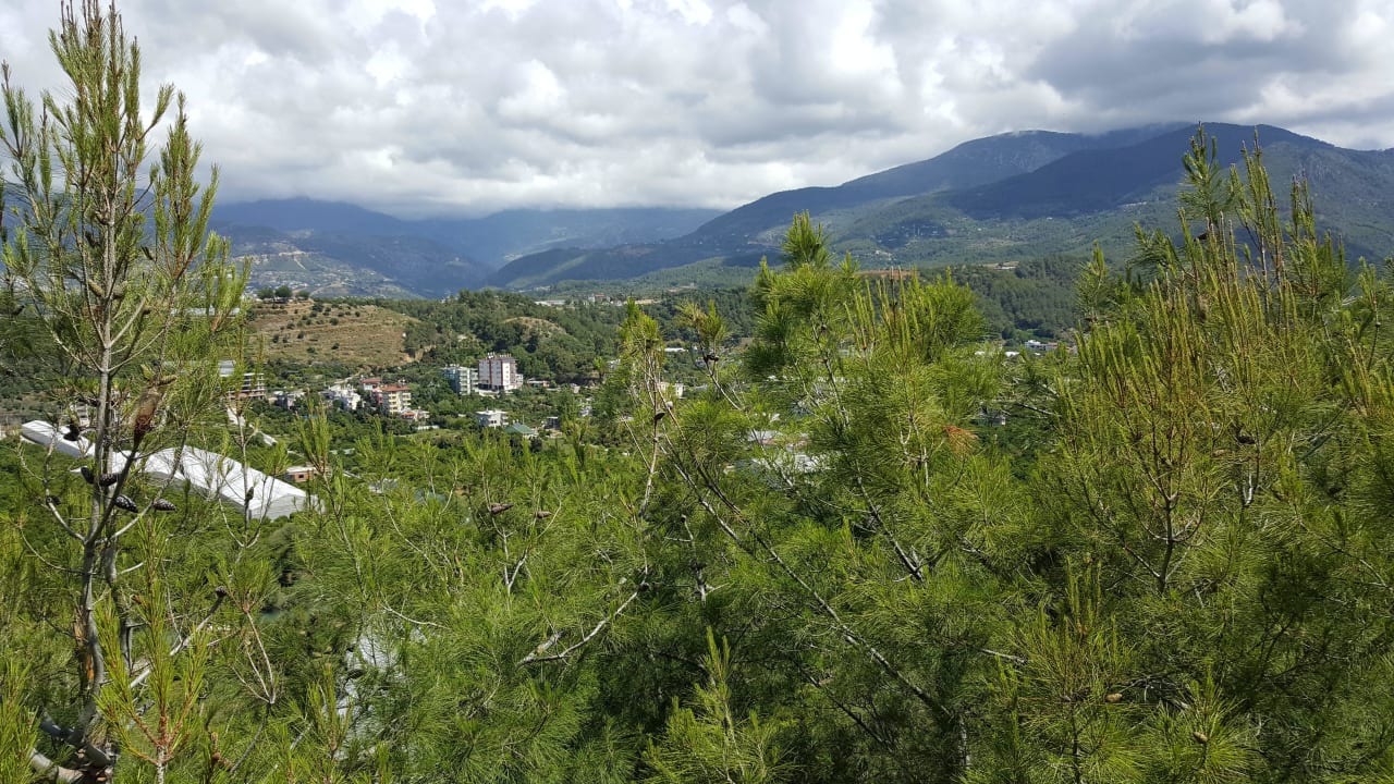 Club Paradiso Hotel Club Paradiso