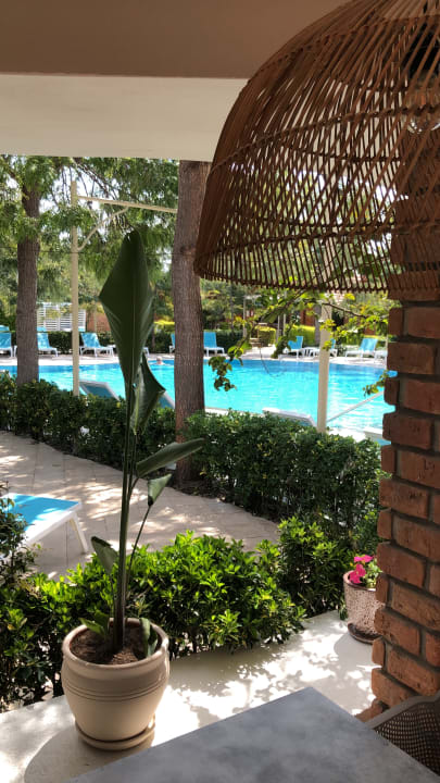 Pool Can Garden Beach