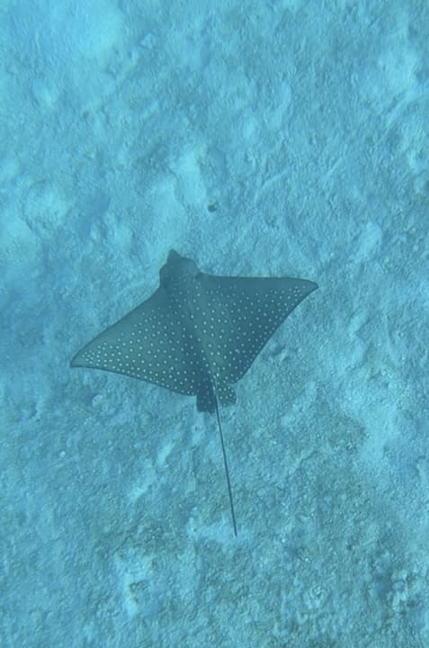 Ausblick Adaaran Club Rannalhi - All Inclusive