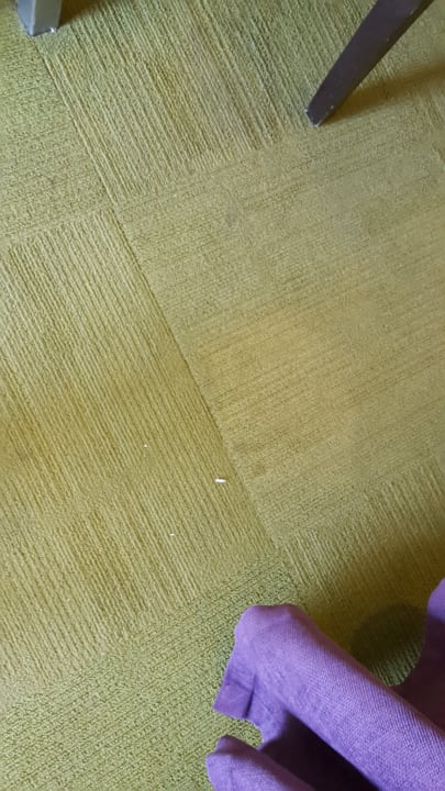 Dreckiger Teppich im Zimmer TUI BLUE Xanthe