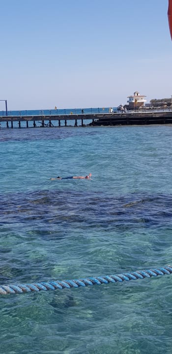 Strand Pickalbatros Jungle Aqua Park Resort - Neverland Hurghada