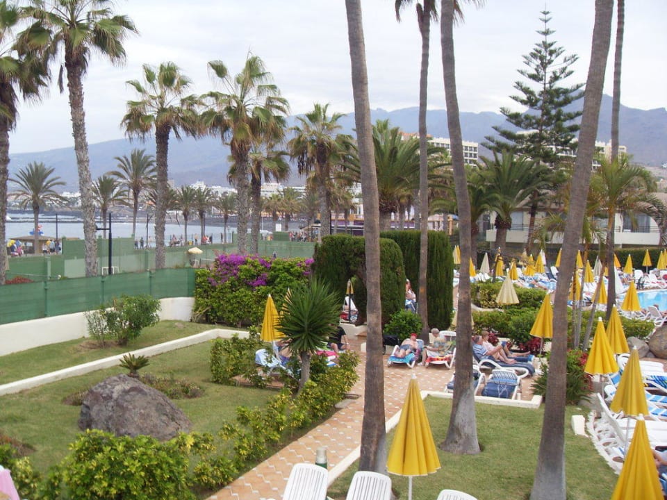 Jardin et piscine H10 Las Palmeras