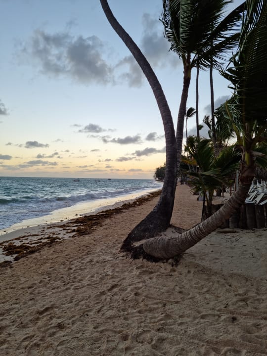 Strand Grand Palladium Select Bávaro Resort & Spa