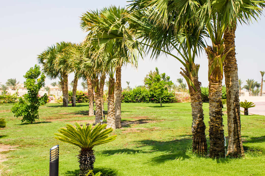 Gartenanlage Cleopatra Luxury Resort Makadi Bay