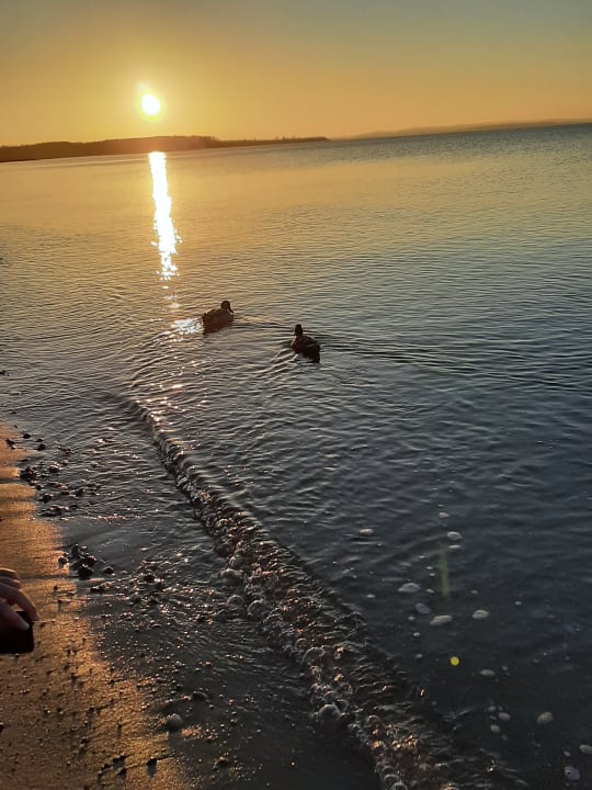 Strand Ferienwohnungen Ferienpark Weissenhäuser Strand