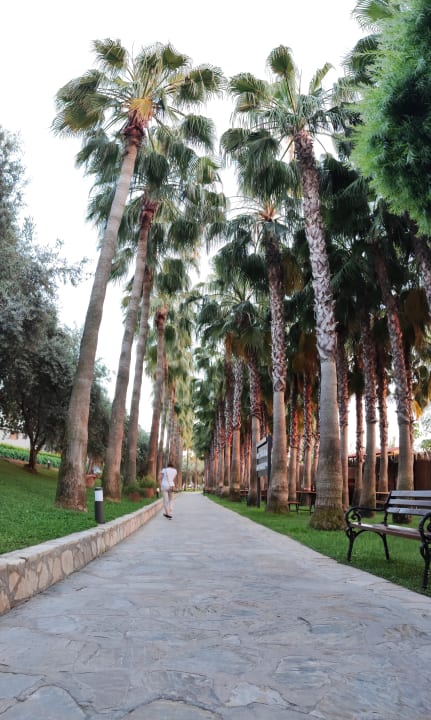 Gartenanlage Miramare Queen Hotel