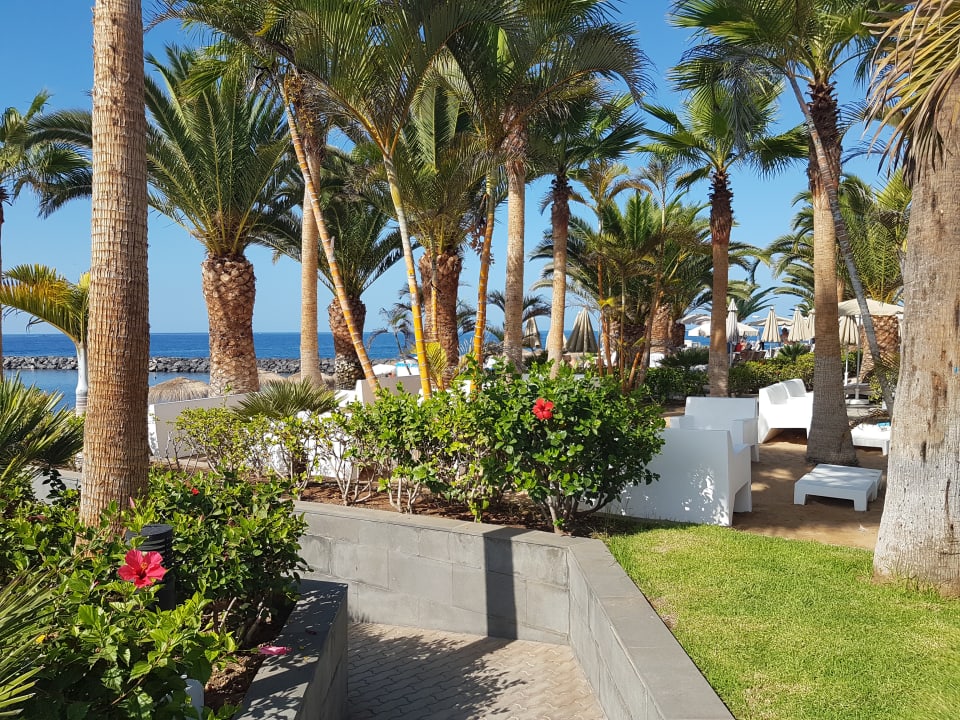 Gartenanlage Hotel Riu Palace Tenerife