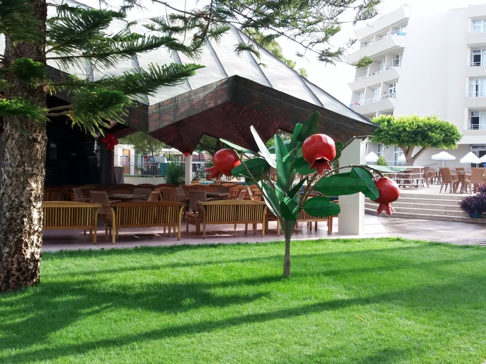 Gartenanlage Nerton Hotel - Erwachsenenhotel ab 16 Jahren