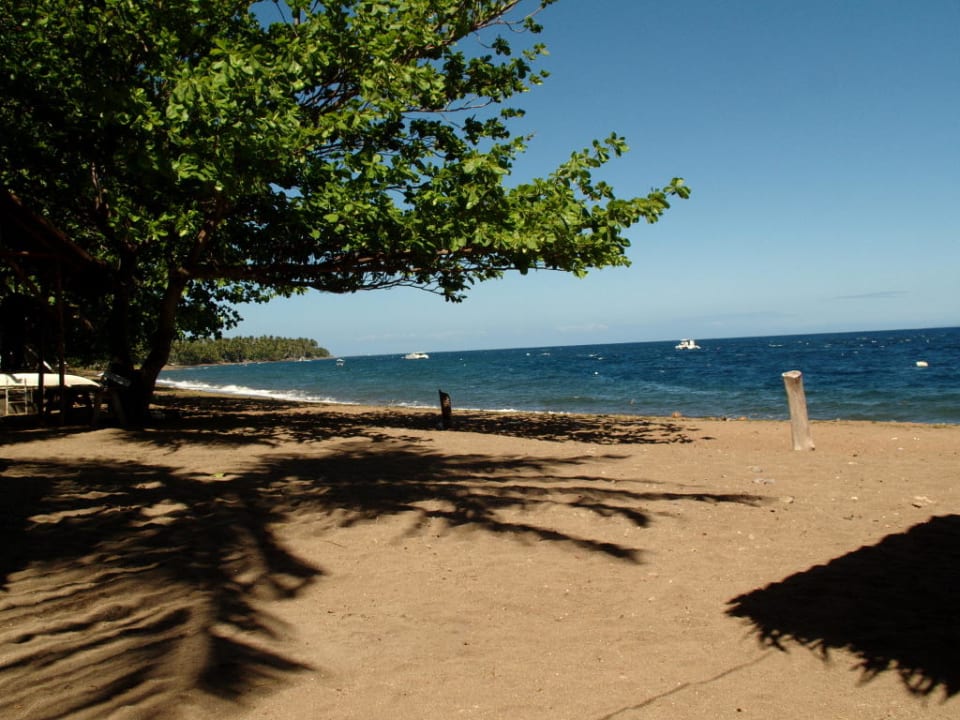 Strand mit Blick nach Norden Hotel Pura Vida