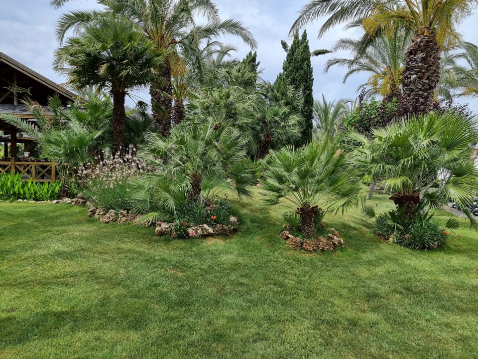 Gartenanlage Royal Wings Hotel