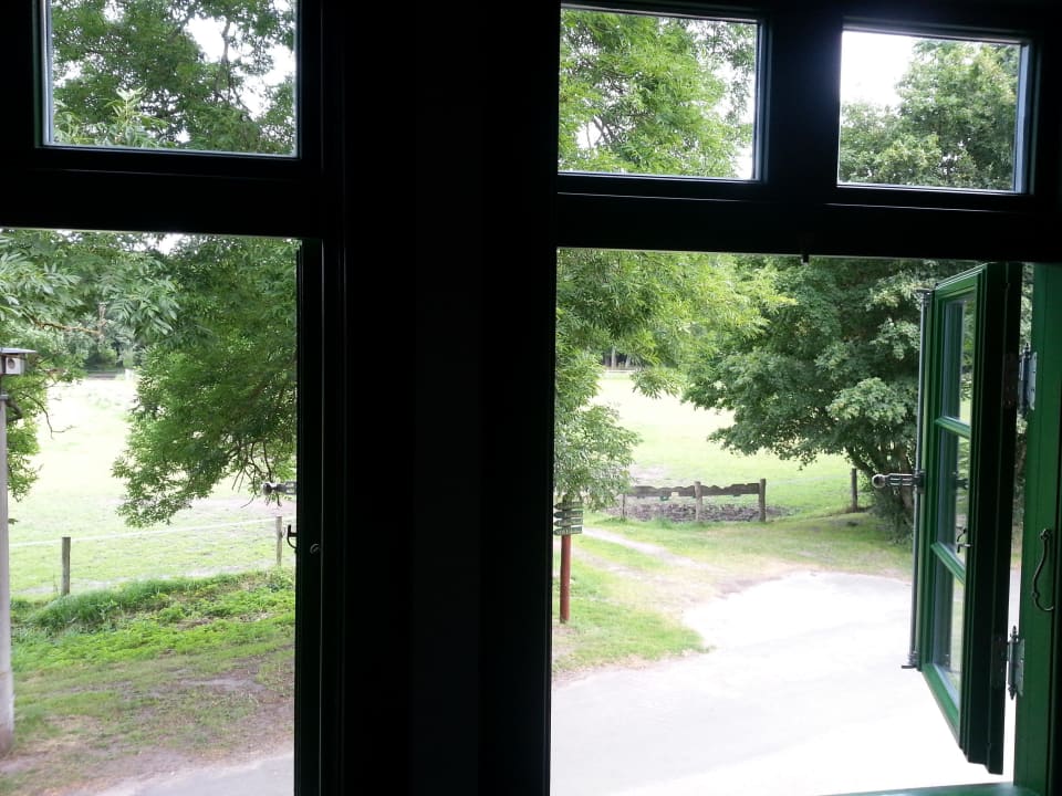 Ausblick vom Zimmer Hotel Schnatermann
