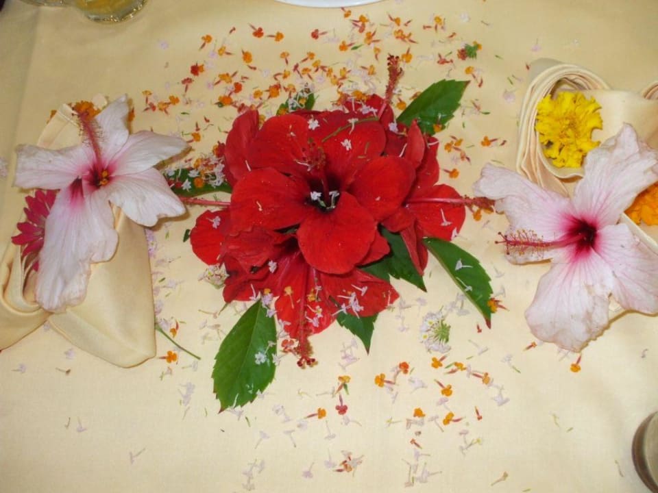 Blumen-Deko auf unserem Tisch Hotel El Mouradi Skanes Beach