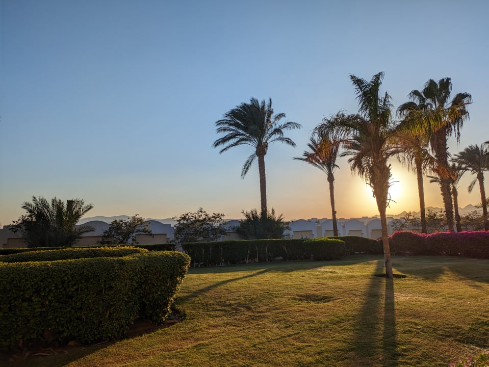 Gartenanlage Palm Royale Resort - Soma Bay