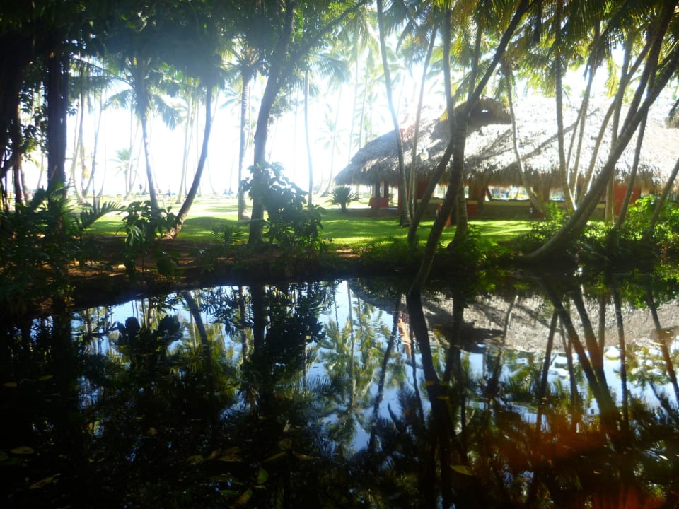 Wunderschöner Teich Wyndham Alltra Samana