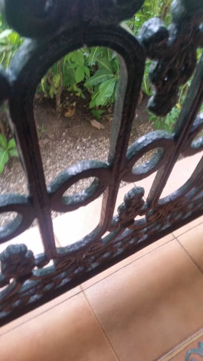 Ratten an Essterasse Bahia de Maimon Senator Puerto Plata Hotel