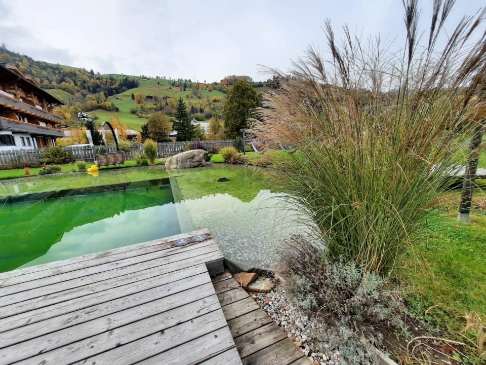 Gartenanlage Das Falkenstein