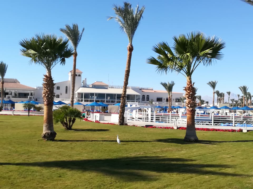 Garten Pickalbatros Dana Beach Resort - Hurghada