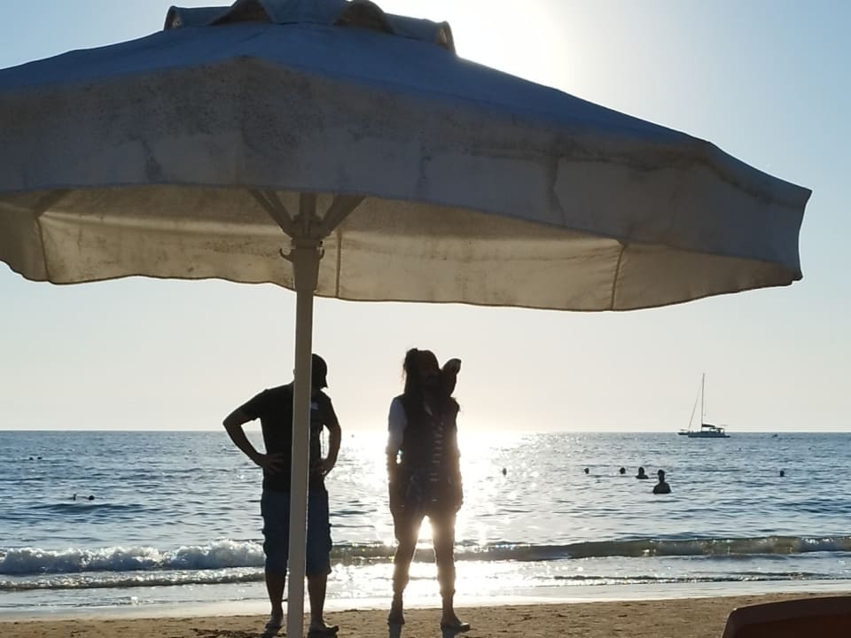 Strand Clover Magic Nova Beach