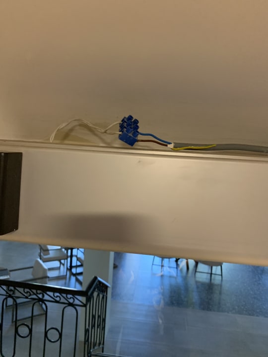 Sonstiges PALOMA Perissia