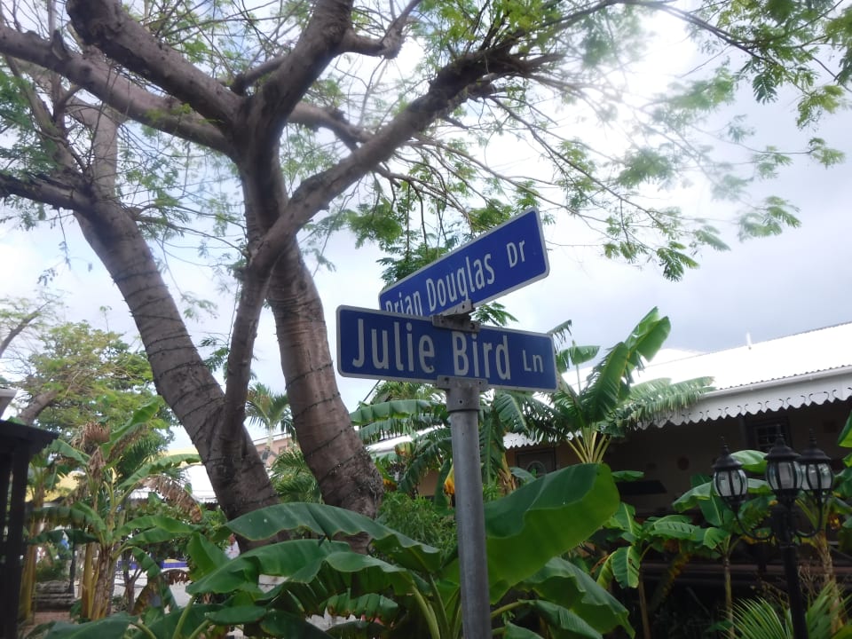 Gartenanlage Hotel Marys Boon