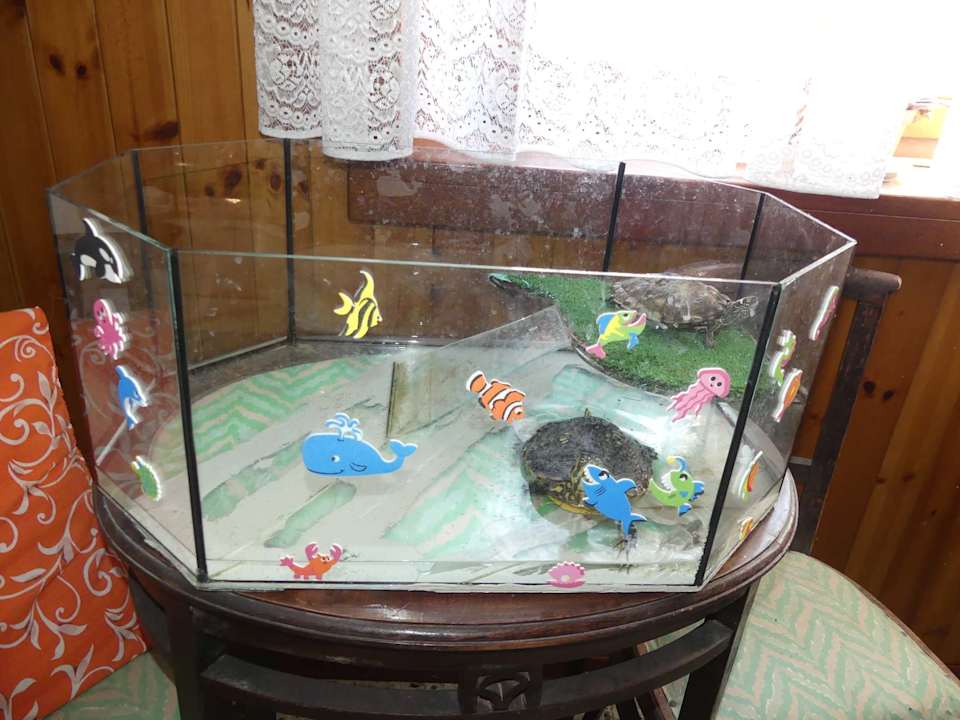 Sonstiges Pension Alla Pineta