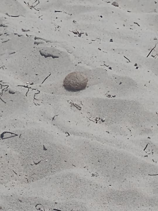 Sport & Freizeit Djerba Aqua Resort