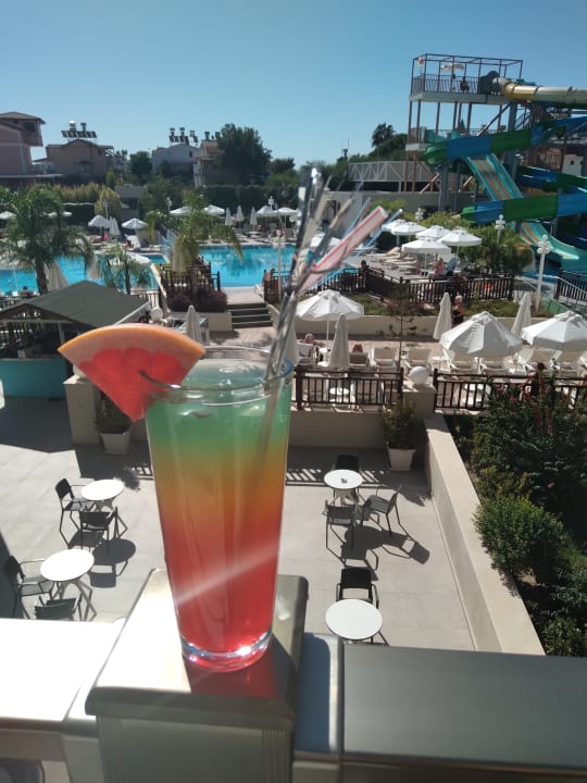 Gastro Seashell Vega