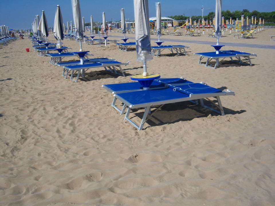 Liegen und Schirme vom Hotel-Strand Aparthotel Holiday