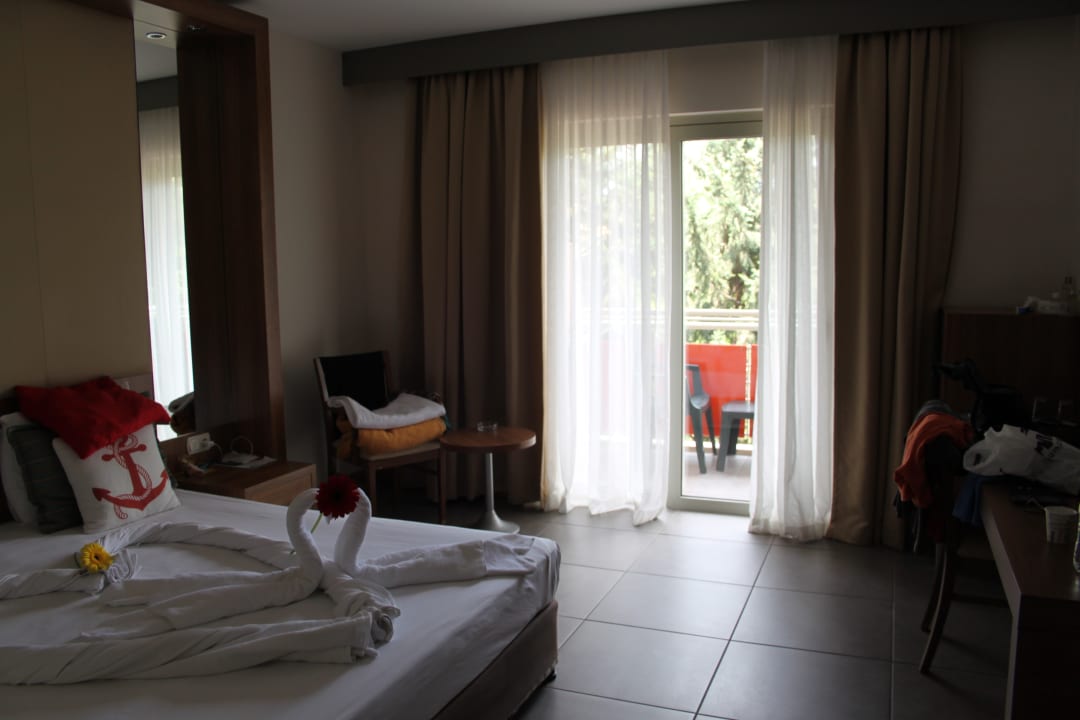 Zimmer AQI Pegasos World