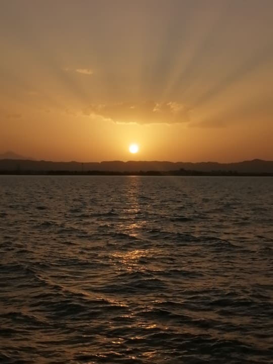 Ausblick Desert Rose