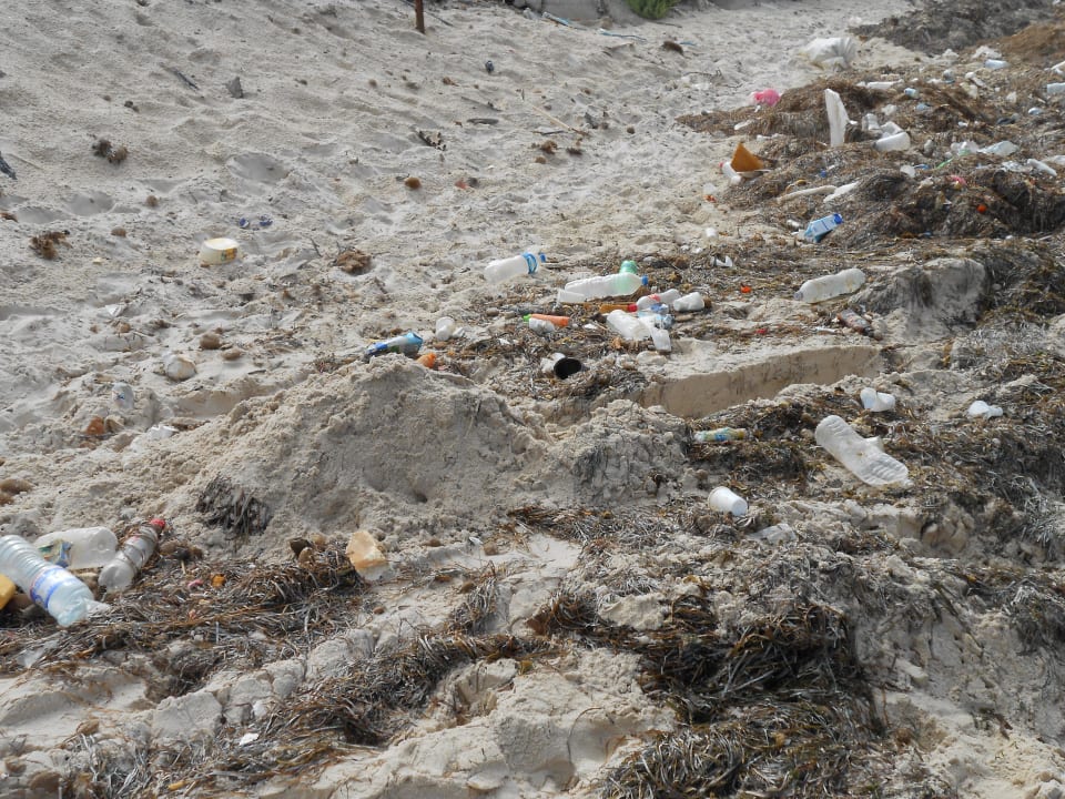 Super Stand! Hotel El Mouradi Skanes Beach