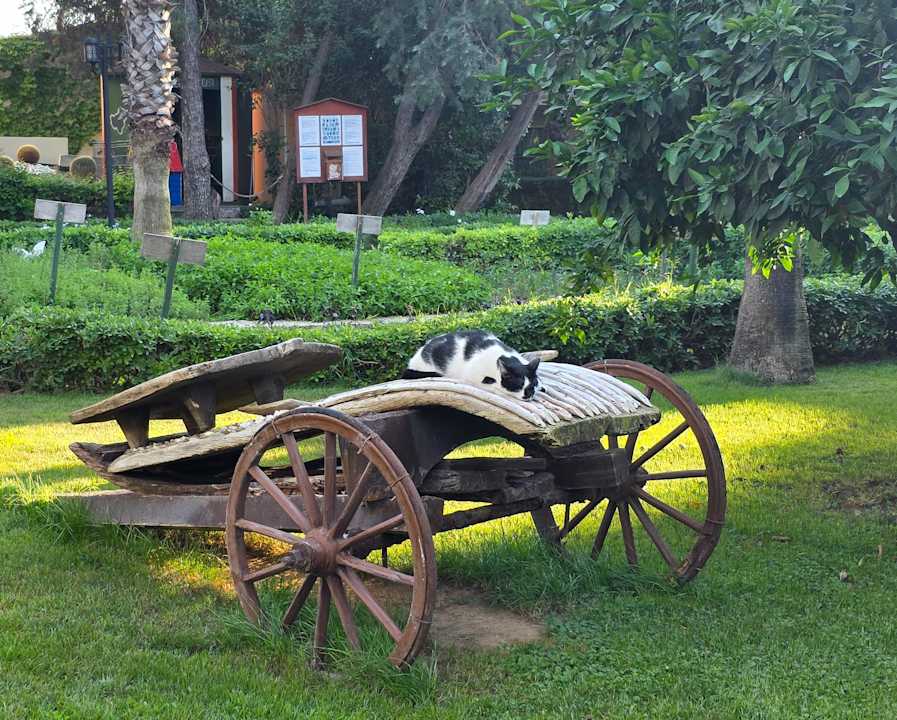 Gartenanlage Paloma Oceana
