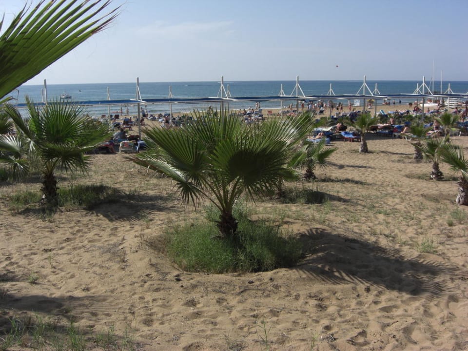 Strand und Meer Club Grand Aqua