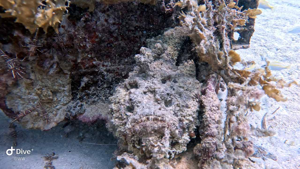 Sport & Freizeit Ocean Paradise Resort & Spa