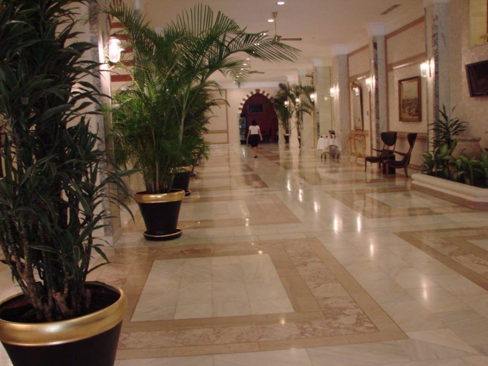 Холл Balmy Foresta