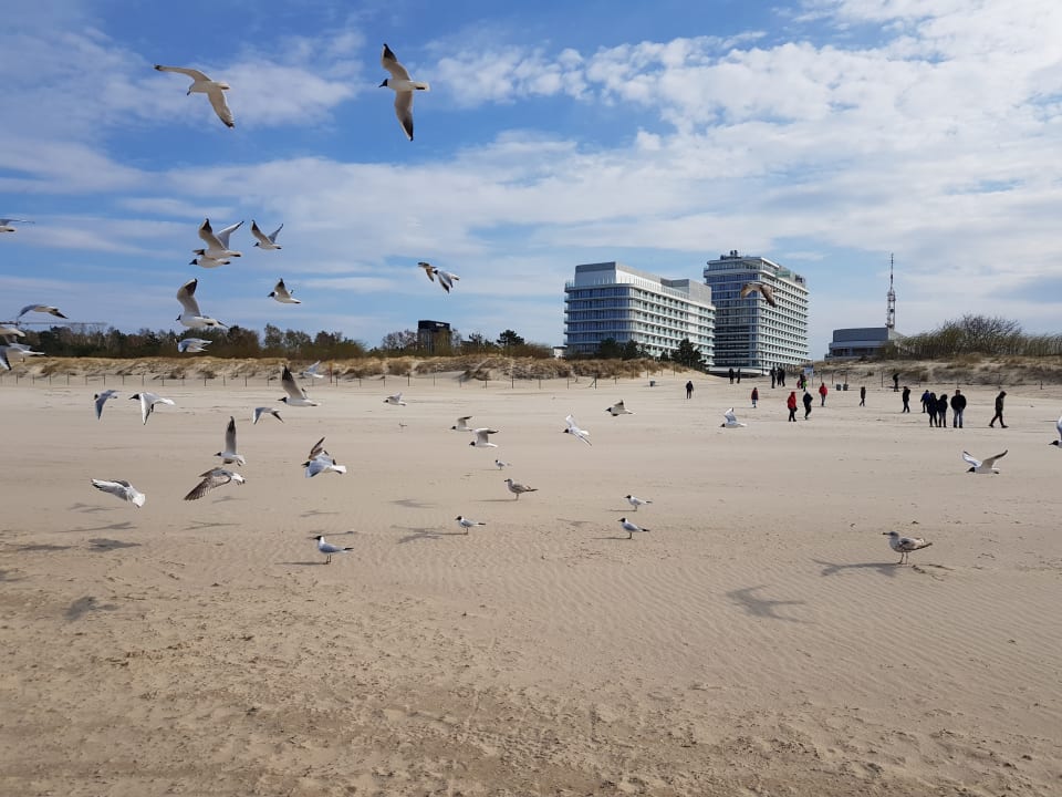 Außenansicht Baltic Park Molo Apartmens