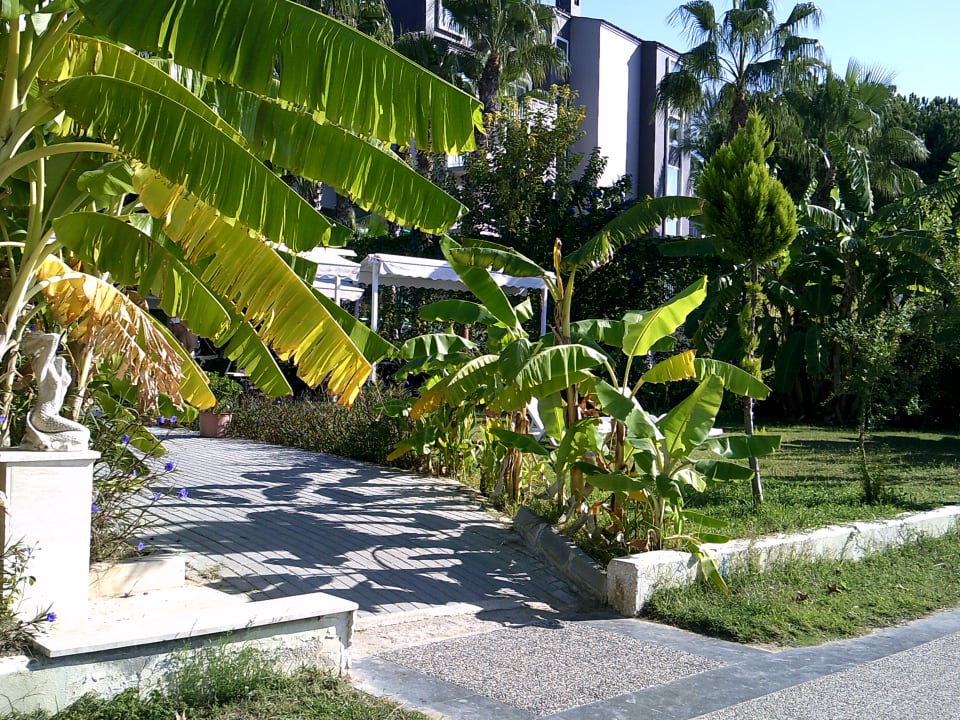 Garten Merve Sun Hotel & Spa