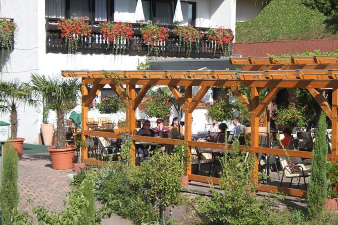 Blick auf die Terrasse Hotel Die kleine Blume