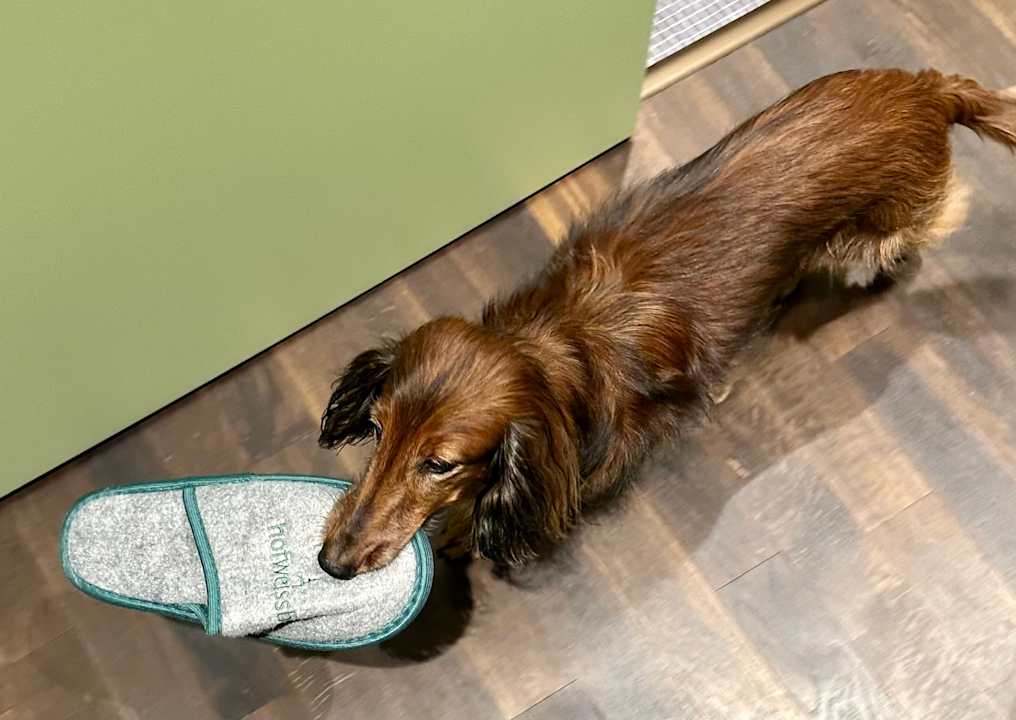 Zimmer Hotel Hof Weissbad