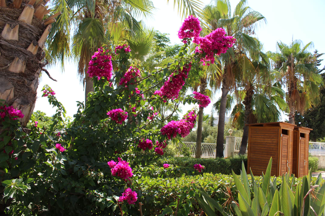 Gartenanlage Sidemarin Kirman Premium
