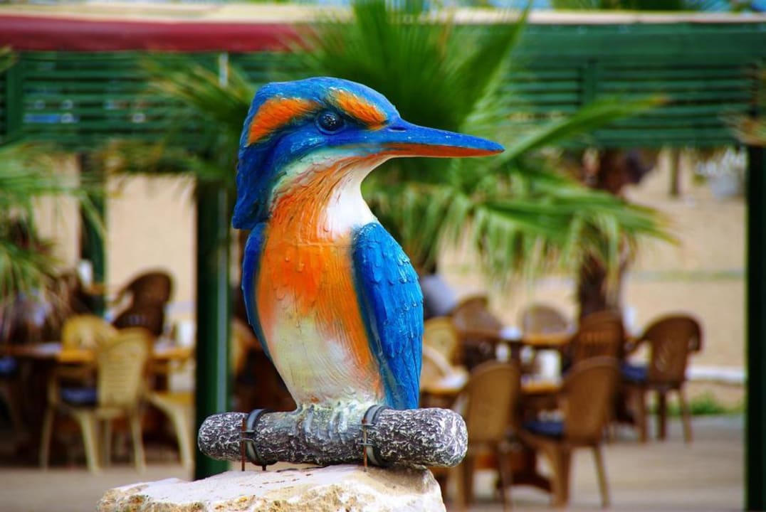 22.5. Evren Sunis Evren Beach Resort Hotel & Spa