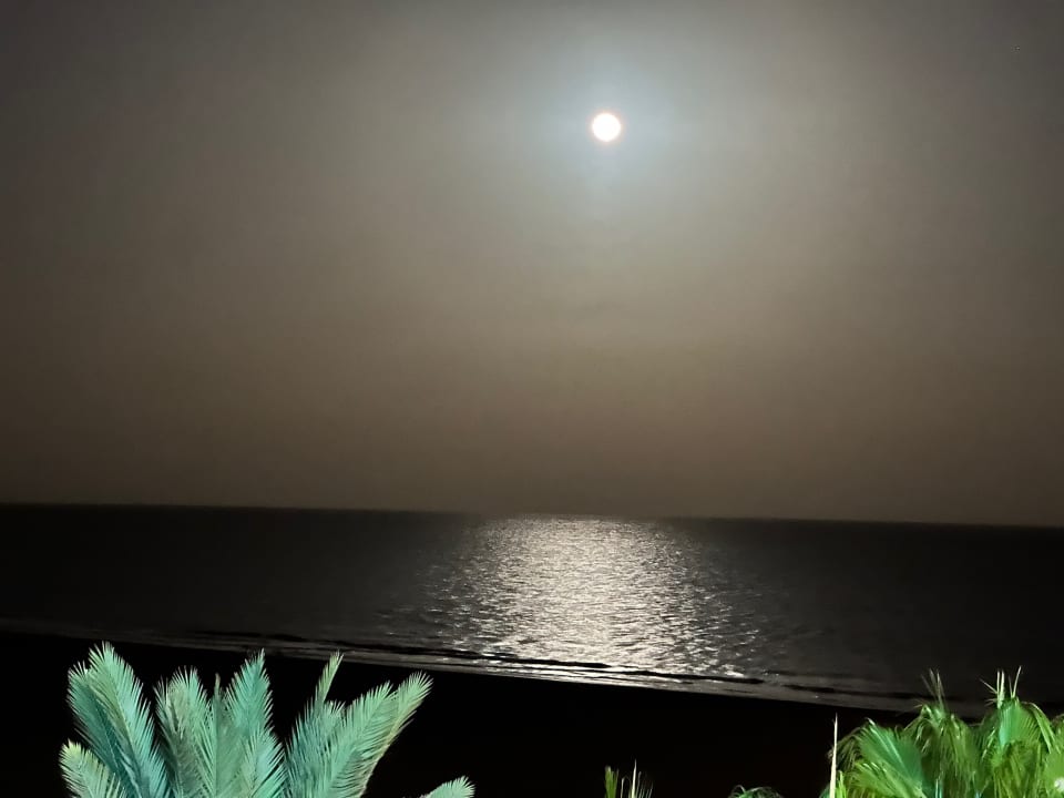 Ausblick Seaside Hotel Palm Beach