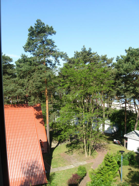 Widok z okien Ferienanlage Baltyk
