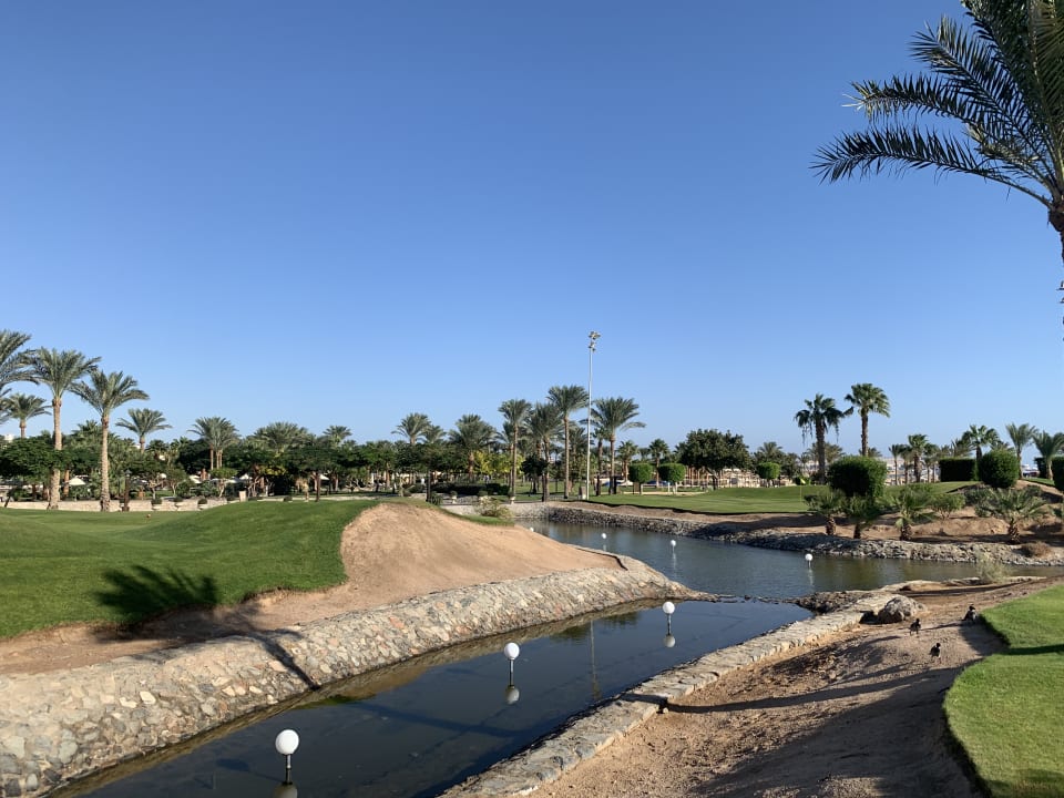 Gartenanlage Steigenberger ALDAU Beach Hotel